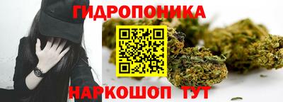 прущая мука Шебекино