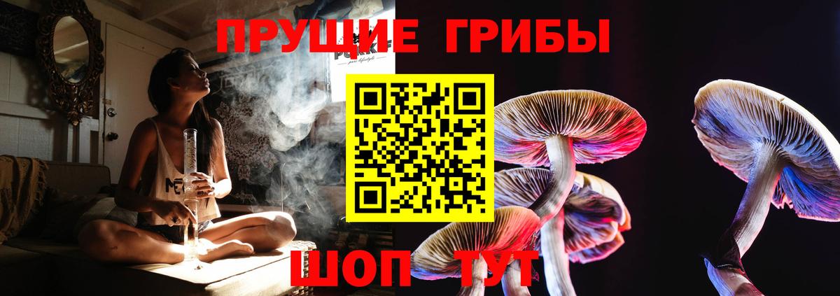 Анжеро-Судженск  Псилоцибиновые грибы Psilocybine cubensis  Галлюциногенные грибы Magic Shrooms  Вход с VPN 