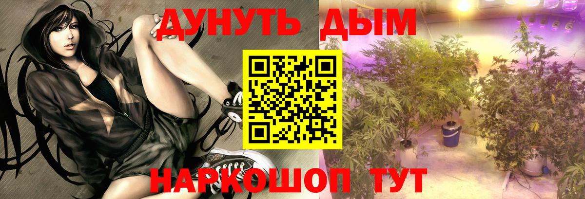 Марихуана AK-47  Шишки марихуана семена  Канабис индика  Вход с VPN  Анжеро-Судженск 